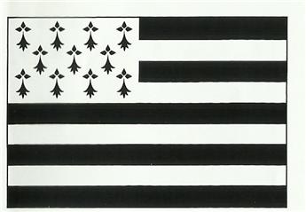 DRAPEAU BRETON COTON DOUBLE + CORDON 9X14