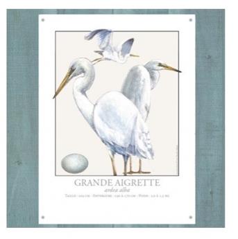 PLAQUE 30 x 40 cm GRANDE AIGRETTE