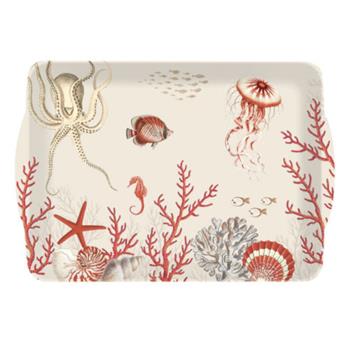 PLATEAU CORAL REEF 38 X 27 CM